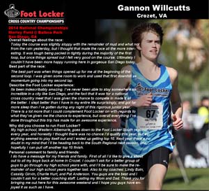 Gannon Willcutts_Comments